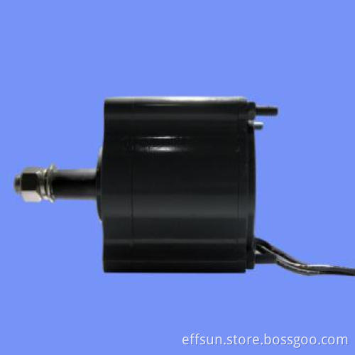 300W permanent magnet generator